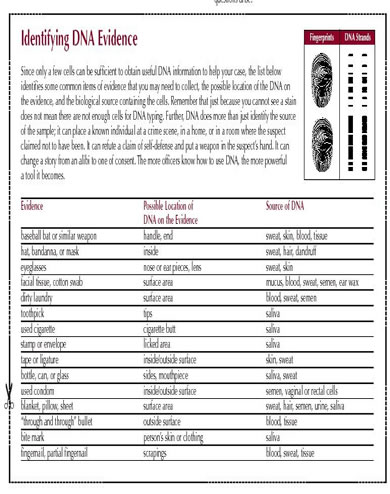 DNA Chart - Identifying DNA Evidence